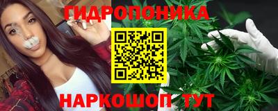 сатива Кунгур