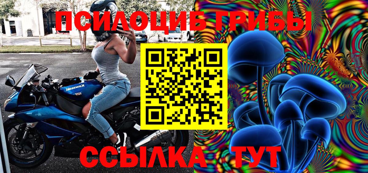 Зеленодольск  Галлюциногенные грибы прущие грибы  Вход с VPN 