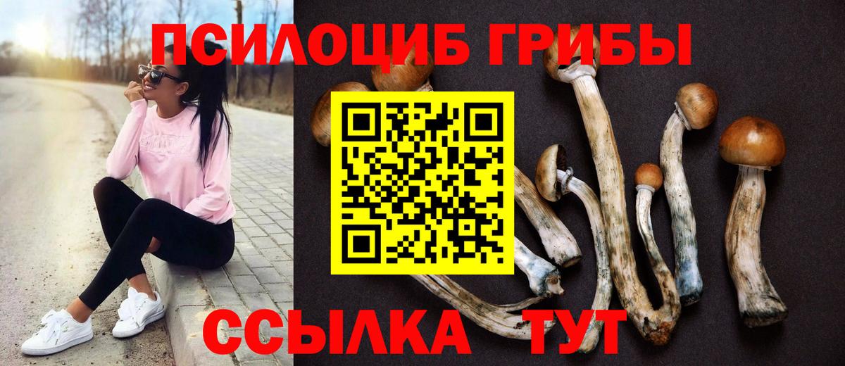 Псилоцибиновые грибы MAGIC MUSHROOMS Зеленодольск